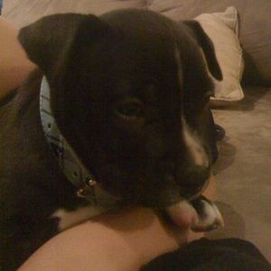 Meet your Posher, Jasmin